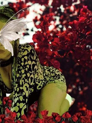 9529991431, female escort, Minneapolis